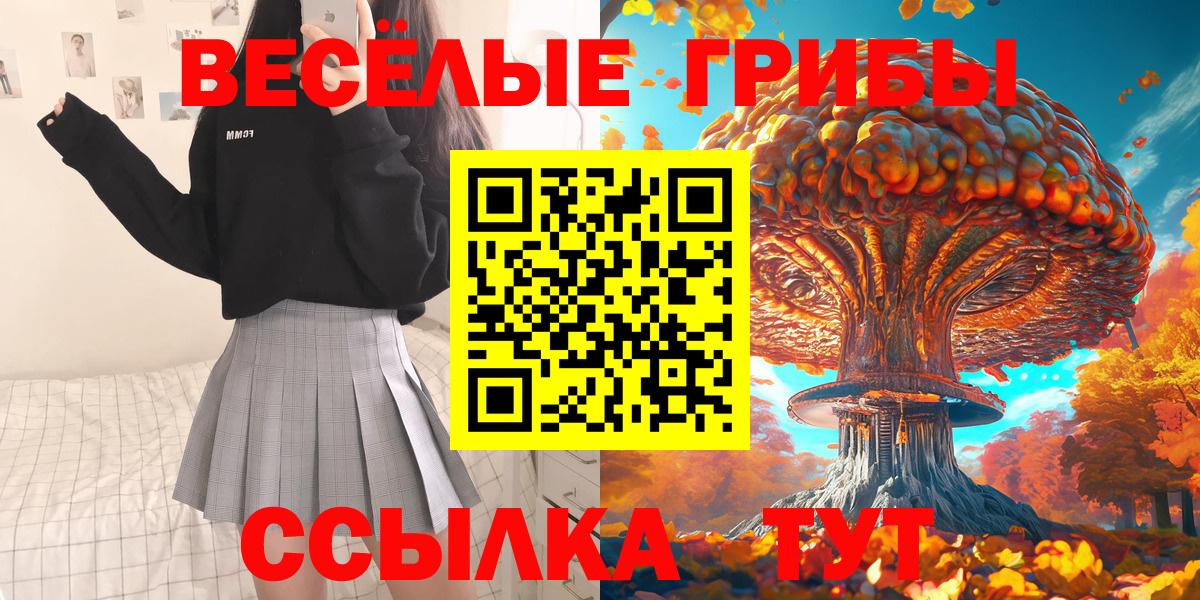 Псилоцибиновые грибы Psilocybe  Вход с VPN  продажа наркотиков  Ленинск-Кузнецкий 