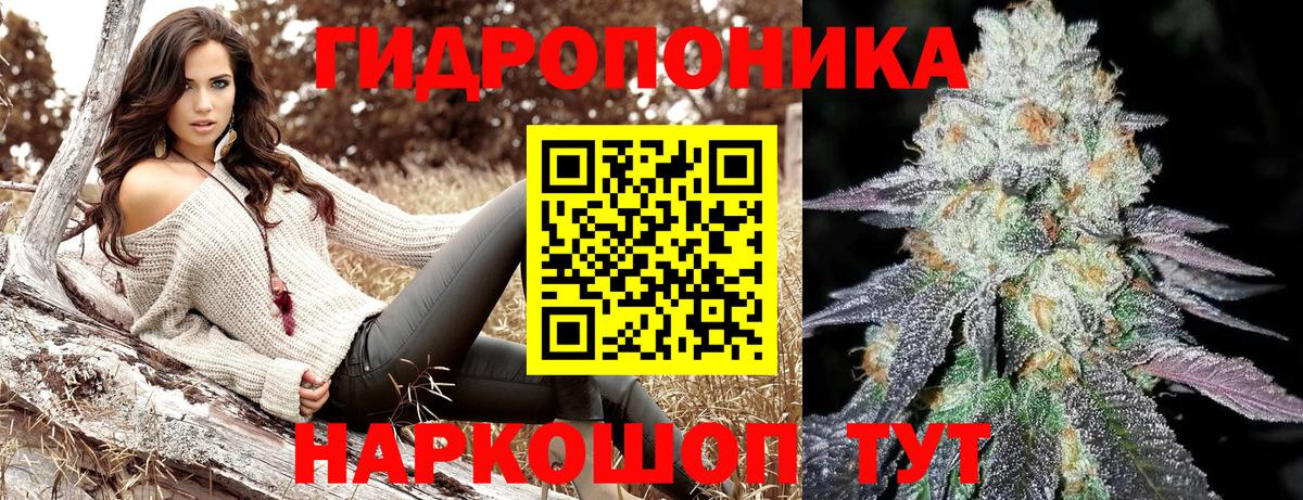 Бошки марихуана семена  Вход с VPN  Ленинск-Кузнецкий  Марихуана Amnesia 